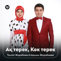 Музыка от Аяулым Жорабаева