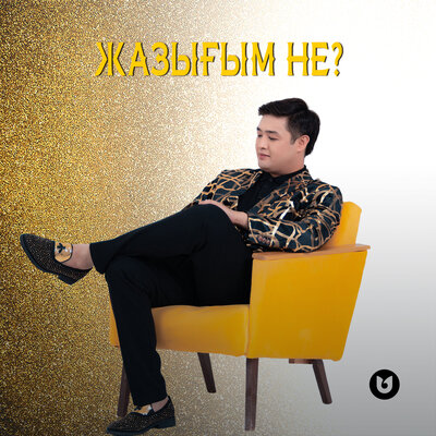 Песня Әділет Жауғашар – Жазығым не?